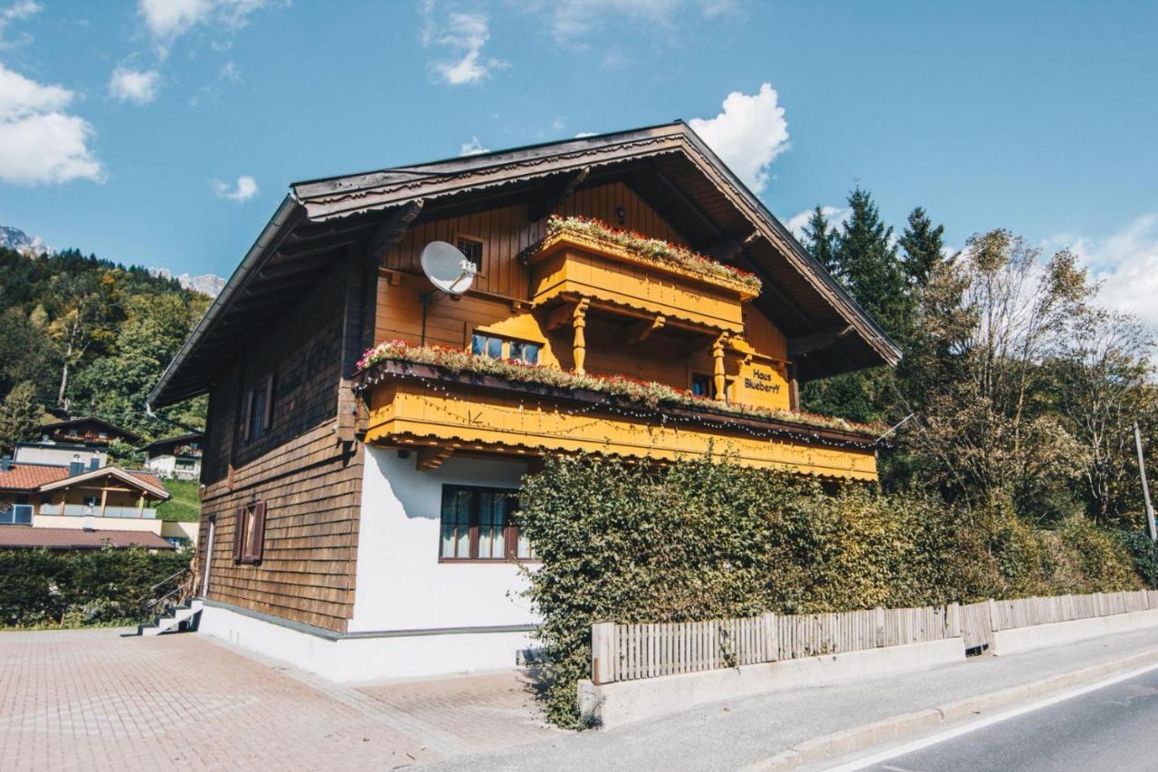 Haus Blueberry - Baranek Resorts Leogang Dış mekan fotoğraf
